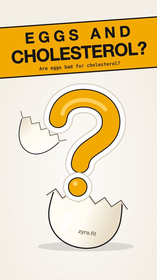 Opening frame of the Zyra film "Are eggs bad for cholesterol?"