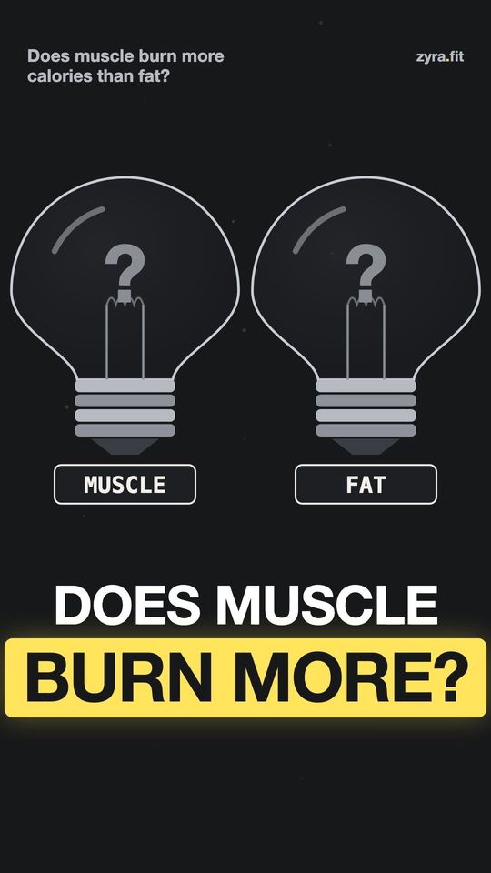 Opening frame of the Zyra film "Does muscle burn more calories than fat?"