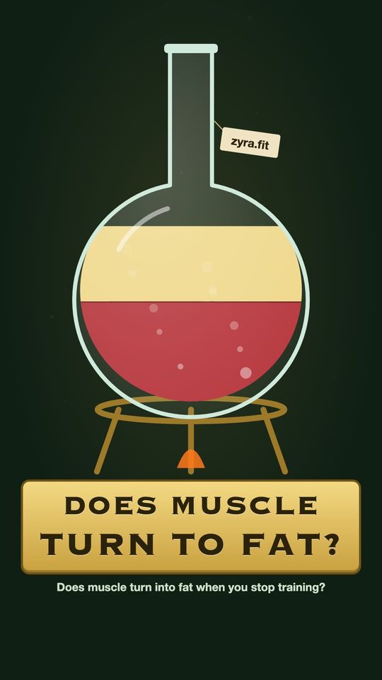 Opening frame of the Zyra film "Does muscle turn into fat when you stop training?"