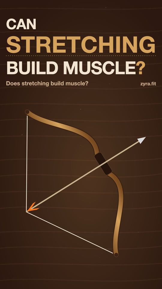 Opening frame of the Zyra film "Does stretching build muscle?"