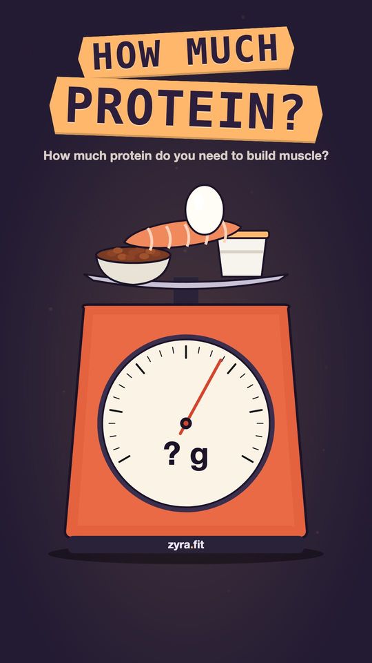 Opening frame of the Zyra film "How much protein do you need to build muscle?"