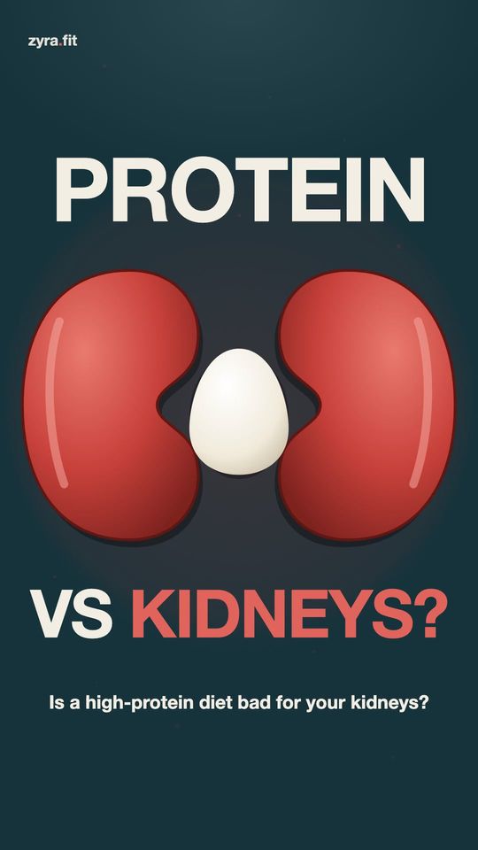 Opening frame of the Zyra film "Is a high-protein diet bad for your kidneys?"