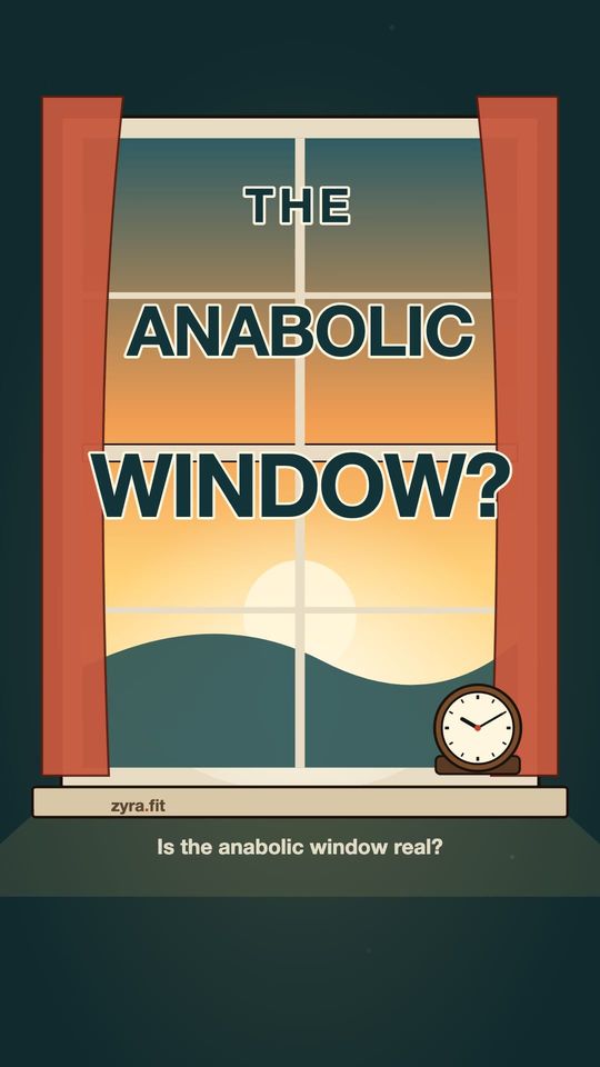 Opening frame of the Zyra film "Is the anabolic window real?"